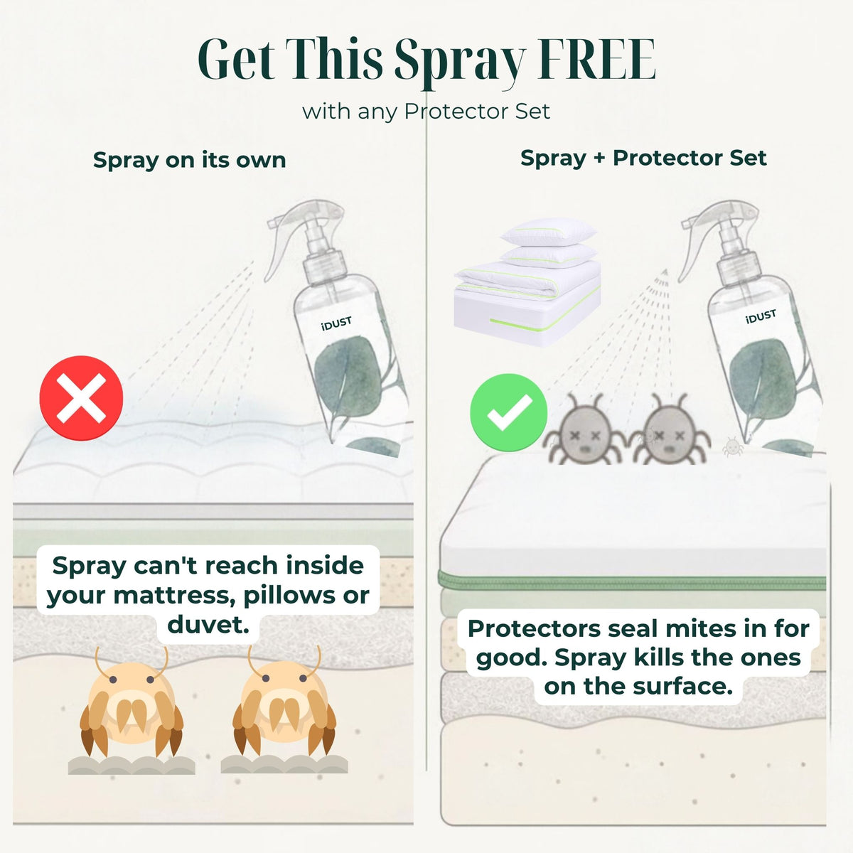 Dust mite spray FREE with the protector bundle: protectors seal dust mites in, the spray kills the ones on the surface
